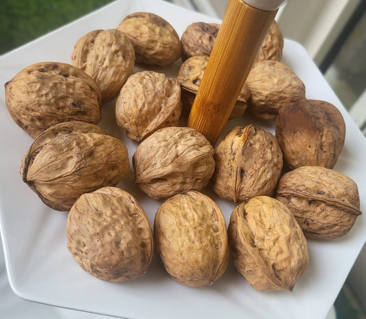 Buy Best Walnuts with Shell