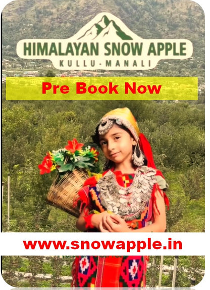 Gala Apples Tray Pack | Harvest Start - July End |
