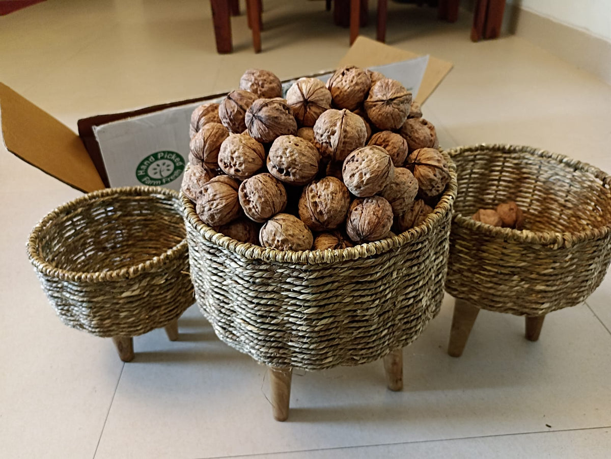Paper Walnut Paper Walnuts With Shell (Pre Book October Harvest) – Himalayan Snow Apple