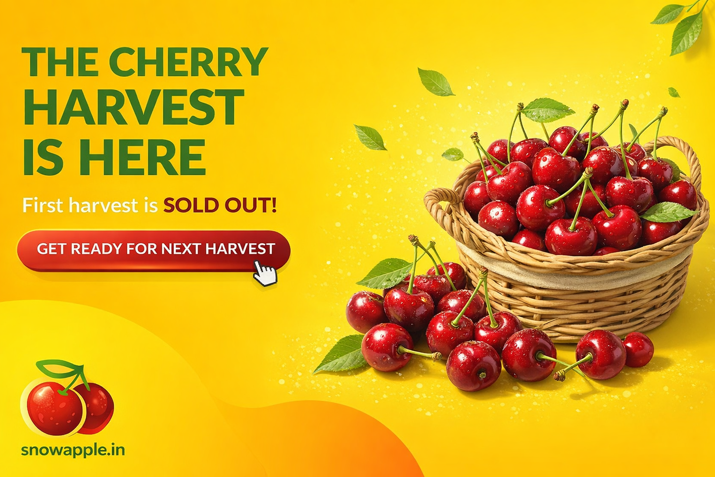 Buy Fresh Himalayan Cherries Online – Naturally Ripened & Farm Fresh in India