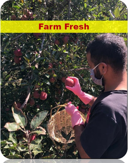 Snow Apple™ Fresh Juicy & Crunchy Himalayan Apples | Buy Fresh Apples Online