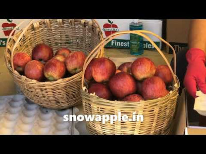 Gala Apples Tray Pack | Harvest Start - July End |